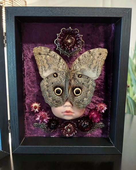 "Eye see you" 👀🦉🦋 This was too much fun to make! But had a really hard time getting pictures with the glass down. . . . #insectdiorama #insectart #butterflies #owlbutterfly #framedbutterfly #framedinsects #vultureculture #gothicdecor #gothicstyle #vultureculture Oddity Artwork, Pinned Bugs, Curiosity Wall, Framed Bugs, Diaphonized Specimens, Taxidermy Butterflies, Oddity Art, Bug Taxidermy, Bug Box