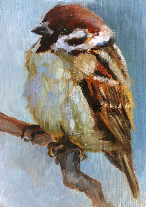 Baby Sparrow, Bird Painting Acrylic, Bird Paintings On Canvas, Bird Pictures, Arte Animal, Bird Drawings, Watercolor Bird, Kingfisher, Wildlife Art