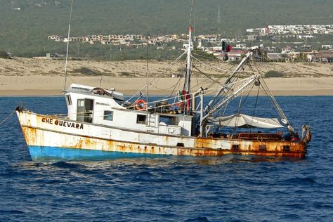 John and Timmy's fishing boat Whale Watching Maui, Duck Boat Blind, Hydroplane Boats, Fishing Boats For Sale, Free Boat Plans, Fishing Backpack, Duck Boat, Wooden Boat Plans, Fishing Vessel