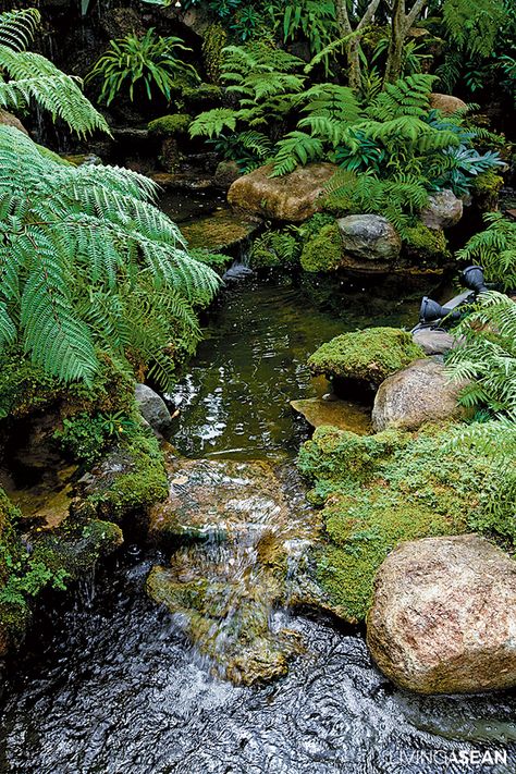 Rainy season forest garden for tropical areas /// Living ASEAN /// Ponds Ideas, Small Tropical Gardens, Kolam Koi, Landscape Reference, Natural Waterfalls, Tropical Garden Design, Garden Waterfall, Pond Water Features, Pond Landscaping