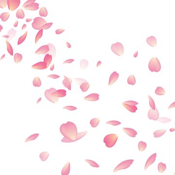 Leaves Falling Drawing, Flower Vector Png, Cherry Blossom Leaves, Falling Drawing, Flor Vector, Draw Flowers Watercolor, Cherry Blossom Vector, Png Material, Realistic Flower Tattoo