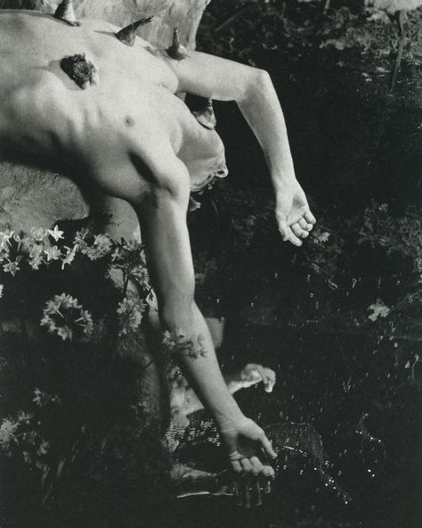 @ideahlism posted on Instagram: “— “narcissus”, george platt lynes (1939)” • Jun 8, 2020 at 12:44am UTC George Platt Lynes, Agnes Martin, Gelatin Silver Print, Artist Models, The Secret History, Vintage Life, Real Beauty, Old Master, We Heart It