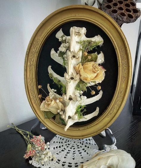 Gothic Animal Skull Decor, Goth Antler Decor, Bone Oddity Art, Diy Oddity Decor, Vulture Culture Decor, Skull Taxidermy Art, Oddities And Curiosities Aesthetic, Cow Bone Art, Deer Bone Crafts