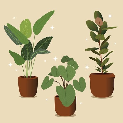 Aesthetic Plant Illustration, Green Plant Illustration, Money Plant Illustration, Plant Flat Illustration, Indoor Plants Illustration, Pot Plant Illustration, House Plants Illustration, Plant Pot Illustration, Plant In Pot Illustration