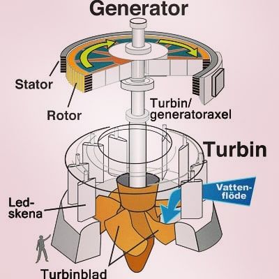 EngineeringPrinciples (@engineeringprinciples) en Instagram: "A Kaplan_Turbine...with its parts ...shown.... mostly these turbines are used in hydro power…" Hydroelectric Energy, Hydroelectric Generator, Hydro Power Plant, Hydroelectric Power Plant, Water Turbine, Motor Listrik, Electromagnetic Induction, Hydroelectric Power, Water Energy