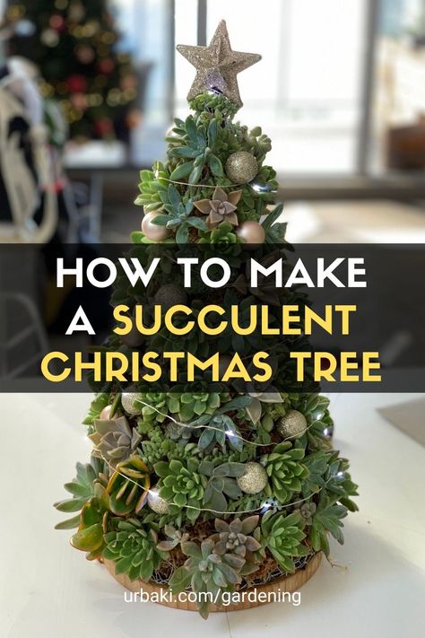 Succulent Arrangements Christmas, Christmas Tree Succulents, Christmas House Plants Decorating Ideas, Succulent Christmas Tree Diy How To Make, Christmas Tree Succulents Diy, Succulent Xmas Tree, Succulents Christmas Tree, Holiday Succulent Ideas, Succulent Christmas Trees