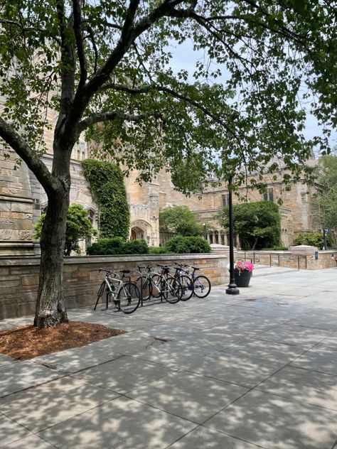 Logan Huntzberger Aesthetic, Yale University Aesthetic, Yale Aesthetic, Yale Rory, Yale Law, Summer Architecture, Logan Huntzberger, University Aesthetic, College Tour