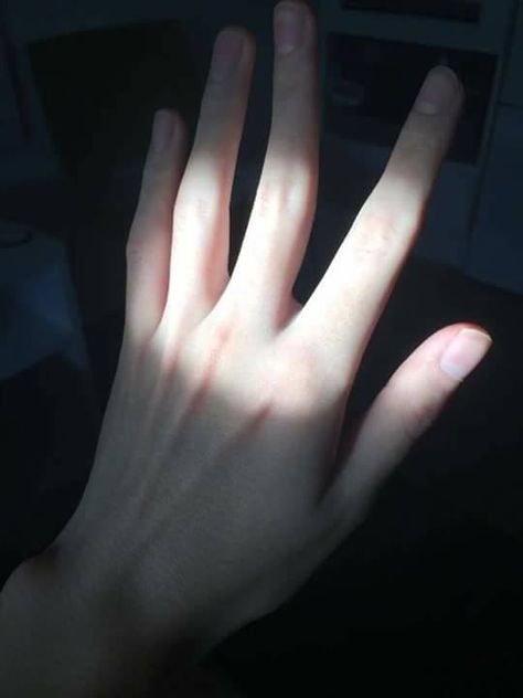 Catching light Hand Aesthetic, Pale Aesthetic, Hand Photography, Hand Reference, Hand Pictures, Male Hands, Pretty Hands, Ulzzang Boy, Pale Skin