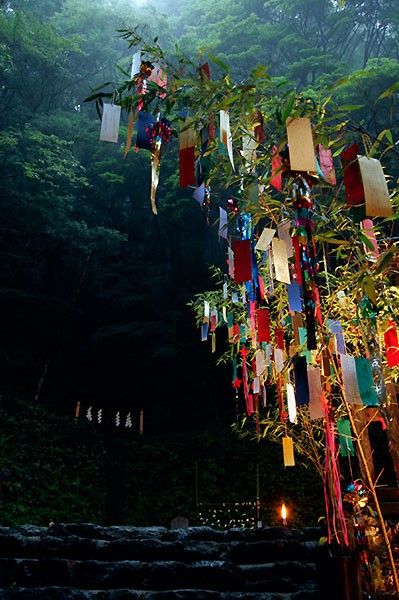 Wish Tree, Wishing Tree, Festival Inspiration, Trafalgar Square, Beltane, Sumi E, Land Art, Pretty Pictures, A Tree