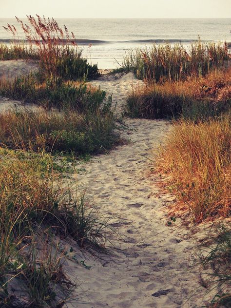 #Cαll #σƒ #ʈꜧɛ #ꜱɛα .•✲•:‧~ Beach Earthy Aesthetic, Cottage On The Beach Aesthetic, Autumn On The Beach, Cottage By The Sea Aesthetic, Autumn At The Beach, Fall On The Beach, Beach Autumn, Calm Beach Aesthetic, Beach In Fall