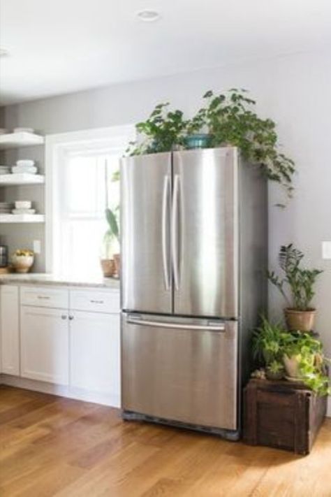 Outside Fridge Storage, Exposed Fridge Side, Space Over Fridge Ideas, Open Space Above Fridge, Top Of Fridge Storage Ideas Baskets, Above Fridge Storage Baskets, On Top Of Fridge Storage, Plants On Top Of Fridge, Baskets On Top Of Fridge