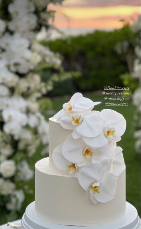 Orchid On Wedding Cake, Orchids At Wedding, White Orchid Wedding Cake, Orchid Cake Wedding, Orchid Wedding Theme, Orchid Centerpieces Wedding, Orchid Wedding Cake, White Orchids Wedding, Orchid Cake