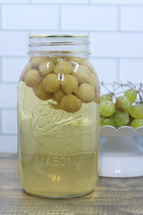 Canning Grape Juice With Whole Grapes - Homesteading in Ohio Bottled Grape Juice, Canning Whole Grapes, Grape Juice In Instant Pot, Canning Grapes For Juice, Can Grape Juice, Water Bath Canning Grape Juice, Homemade Grape Juice Concentrate, Canning Grapes Recipes, Water Bath Canning Juice