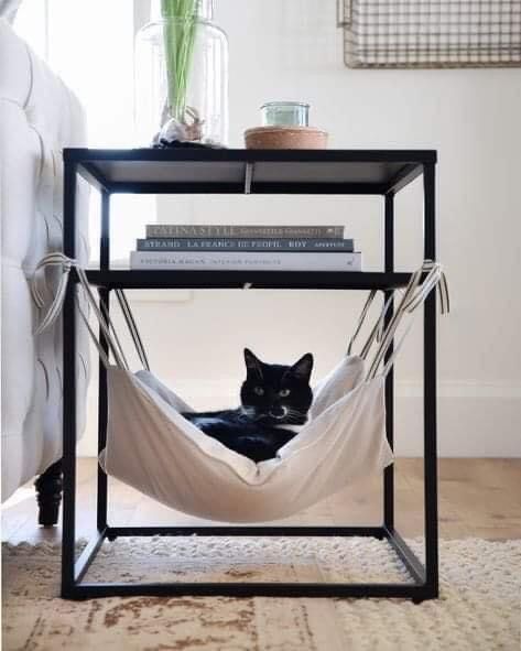 Under Table Cat Hammock Diy, Wall Basket Cat Bed, Cat Window Furniture, Cat Spots In House, Diy Cat Space, Functional Cat Furniture, Cats Apartment Living, Cute Cat Room Decor, Diy For Cats Projects