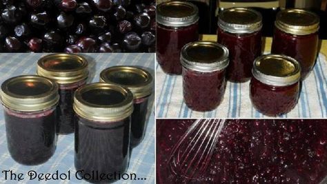 Granny's Huckleberry Jam.... https://grannysfavorites.wordpress.com/2016/08/20/grannys-huckleberry-jam/ Huckleberry Jam Recipe, Huckleberry Recipes, Huckleberry Jam, Freezer Jam Recipes, Preserving Recipes, Homemade Jelly, Freezer Jam, Berry Jam, Harvest Recipes