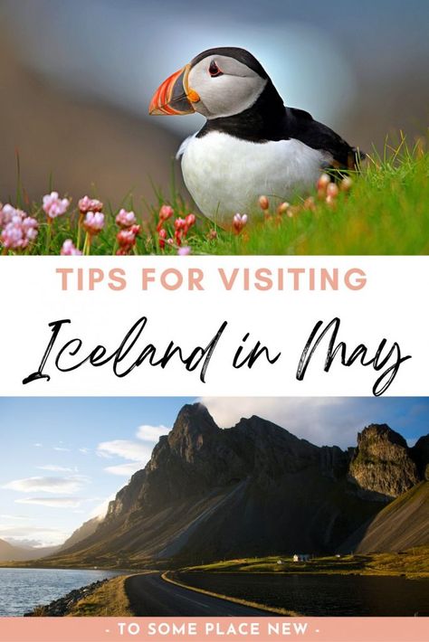 Iceland In The Summer, Iceland In May, Iceland Travel Summer, Iceland Travel Itinerary, Iceland Travel Photography, Iceland Vacation, Iceland Trip, Iceland Travel Tips, Iceland Itinerary