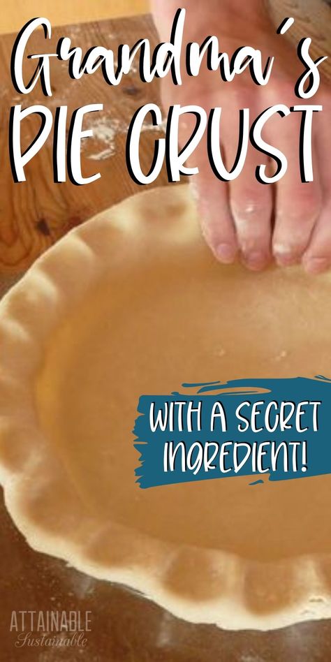 7up Pie Crust Recipe, Ina Garden Pie Crust Recipe, How To Make Crust For Pie, Thick Pie Crust Recipe, Pie Crust Recipe For Apple Pie, Lemon Pie Crust Recipe, Best Pie Dough Recipe, Delicious Pie Crust Recipe, Best Homemade Pies