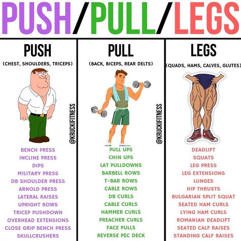 Krucki Fitness on Instagram: “PUSH/PULL/LEGS by @kruckifitness - If you are doing a push/pull/legs split, you really have lots of options to choose from when it comes to…” Push Pull Legs Workout, Full Body Fat Burning Workout, Push Pull Workout, Leg Days, Fitness Park, Push Pull Legs, Workout List, Full Body Workout Routine, Workout Splits