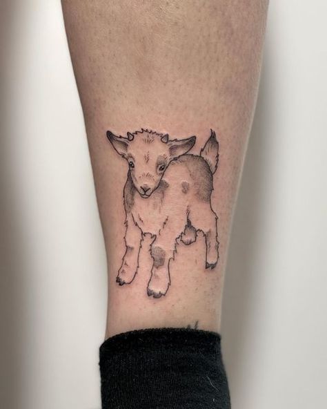 Chanti :) on Instagram: "baby goat🐐 done on @alinalligatoah <3 - - - - - - tags: #tattoo #tattoos #tat #goat #goattattoo #babygoat #smalltattoo #cutetattoo #blackink #ink #art #linework #whipshading #blackwork #tattooartist #youngartist #cheyennetattooequipment #cheyenne #artistsoninstagram" Cartoon Goat Tattoo, Mini Goat Tattoo, Goat Zodiac Tattoo, Pygmy Goat Tattoo, Goat Face Tattoo, Goat Tattoos For Women, Sheep Tattoo Cute, Two Headed Goat Tattoo, Billy Goat Tattoo