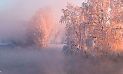 morning-belarus-winter-sunrise-photography-alex-ugalek-14 Winter Veil, Winter Photo, Winter Mornings, Grey Skies, Winter Scenery, Winter Beauty, Winter Aesthetic, Sunrise Photography, Belarus