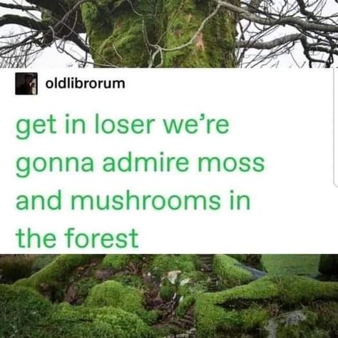 Crowcore Aesthetic, Moss And Mushrooms, Goblin Aesthetic, Goblincore Aesthetic, Get In Loser, Goblin Core, Forest Bathing, Fairycore Cottagecore, In The Forest