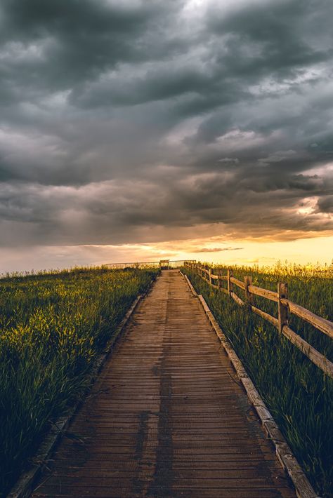 Thanks to Todd Trapani for making this photo available freely on @unsplash 🎁 Pathway Wallpaper, Landscape Pathway, Wooden Pathway, Mountain Wallpaper, Best Iphone Wallpapers, Photos Hd, Rural Landscape, Wallpaper Pictures, Real Estate Buying