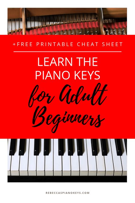 Learn Piano Beginner, Music Alphabet, Learn Piano Notes, Beginner Piano Lessons, Beginner Piano Music, Piano Music Easy, Piano Learning, Reading Sheet Music, Keyboard Lessons