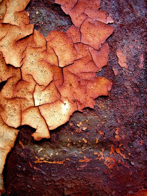 Rust | さび | Rouille | ржавчина | Ruggine | Herrumbre | Chip | Decay | Metal | Corrosion | Tarnish | Texture | Colors | Contrast | Patina | Decay | Interesting Textures, Growth And Decay, Texture Inspiration, Peeling Paint, Painting Subjects, Rusted Metal, Texture Color, Abstract Photography, Rust Color