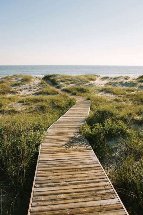 Beach Boardwalk Aesthetic, Beach Aesthetic House, Floating Boardwalk, Boardwalk Landscape, Boardwalk Aesthetic, Beach Lifestyle Aesthetic, Beach Landscape Design, Beach Town Aesthetic, Beach Walkway