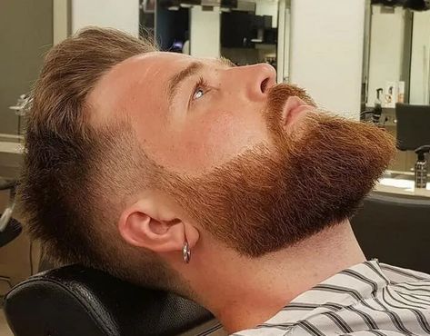 Medium Length Beard, Medium Beard Styles For Men, Medium Beard Styles, Blonde Beard, Curly Beard, Facial Hair Styles, Bald Men With Beards, Trimming Your Beard, Hot Haircuts