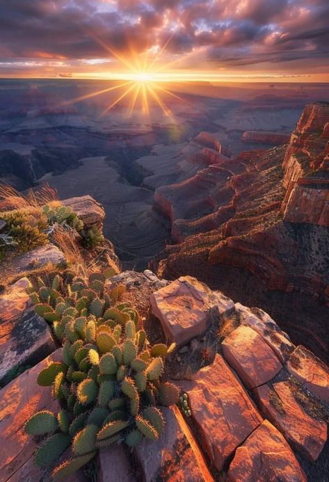 Grand canyon Grand Canyon Aesthetic, Arizona Canyons, Canyon Aesthetic, Dream Roadtrip, Grand Canyon Photography, Project 2025, Trip To Grand Canyon, Country Fences, Grand Canyon Arizona