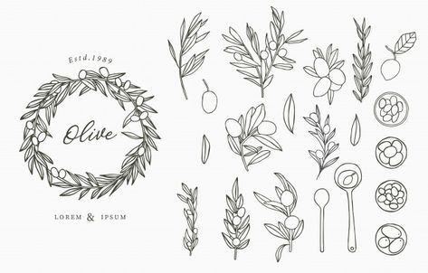 Black olive logo collection with leaves.... | Premium Vector #Freepik #vector #flower Herb Tattoo, Plant Sketches, Spice Set, Plant Drawing, Herbs And Spices, Drawing Set, Black And White Drawing, Botanical Drawings, Flower Tattoos