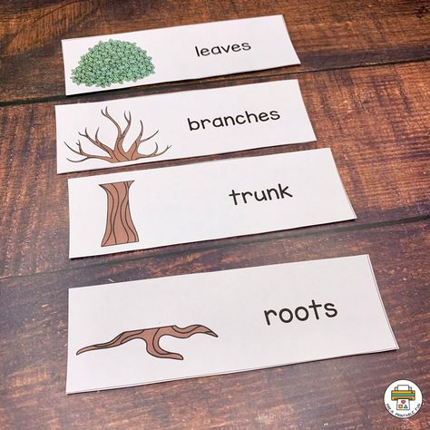 Leaves & Trees Activity Pack - Pre-K Printable Fun Tree Study Activities For Preschool, Trees Preschool Activities, Trees Preschool, Printable Preschool Activities, Nature Lessons, Fall Lesson Plans, Trees For Kids, Tree Study, Pattern Activities