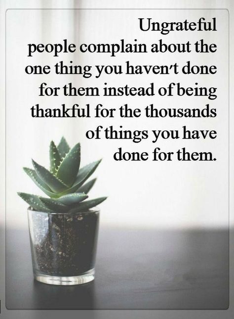 Quotes Ungrateful people complain about the one thing you haven't done for them instead of being thankful for the thousands of things you have done for them. Yasmine Aker, Jack Kesy, Thad Luckinbill, Negative People Quotes, Rob Riggle, Ungrateful People, Funny People Quotes, Being Grateful, Inspirational Quotes With Images