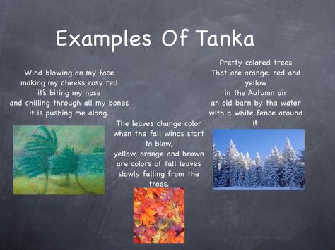 Tanka poems Tanka Poem Examples, Poem Examples, Tanka Poem, Teaching Poetry, Zebra Stripes, Old Barn, Hello Friend, Red Yellow, Color Change