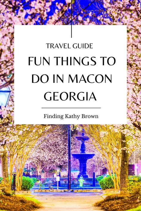 Macon is one of those secret gems in the heart of Georgia worth a weekend visit. Today let’s explore some of Macon’s best attractions and ways to make your stay memorable. Macon Georgia Things To Do In, Explore Georgia, Tallulah Gorge, Gorges State Park, Chattahoochee River, Macon Georgia, Georgia Vacation, Travel Infographic, Popular Travel Destinations