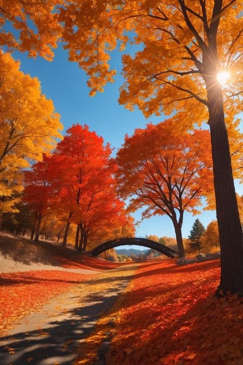 Good Morning Facebook, Fall Photography Nature, Inspirational Life Photos, Autumn Scenes, Autumn Nature, Autumn Scenery, Small Moments, Autumn Beauty, Fall Pictures