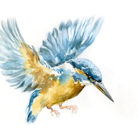 The kingfisher . ''A flash of blue, a darting flight, Kingfisher glides through morning light. By the river’s edge, it swiftly dives, In nature’s dance, it truly thrives.'' . #kingfisher #kingfisherbird #birdpainting #birddrawing #sketchingbirds #watercolorsketch #watercolorbird Kingfisher Watercolor Painting, Kingfisher Sketch, Bird Sketches, Kingfisher Watercolor, Kingfisher Painting, Kingfisher Art, Fly Drawing, Classic Road Bike, Kingfisher Bird