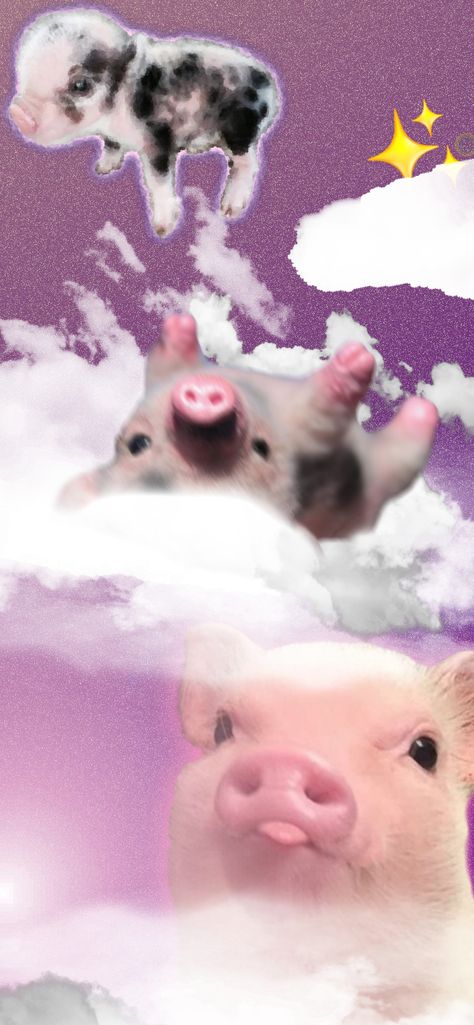 Pig Phone Wallpaper, Pig Wallpaper Cute, Cute Pig Wallpaper, Pigs Wallpaper, Pig Background, Screen Savers Iphone, Pig Gif, Pig Wallpaper