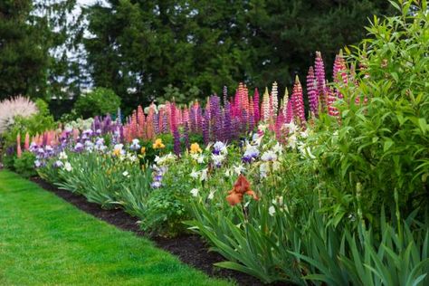 Plants For Zone 5, Small Cottage Garden, Old Westbury Gardens, Small Cottage Garden Ideas, Storybook Gardens, English Garden Ideas, Westbury Gardens, Brick House Exterior, Garden Edging Ideas