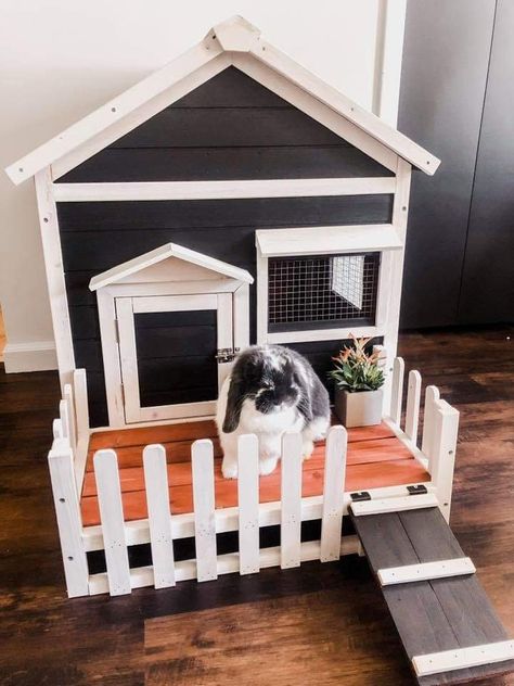 Buy on wayfair Bunny Shed Ideas, Rabbit House Diy, Bunny House Ideas, Diy Bunny House, Bunny House Diy, Rabbit House Ideas, Cute Bunny Cage Ideas, Rabbit Indoor House Ideas, Indoor Rabbit Cage Ideas