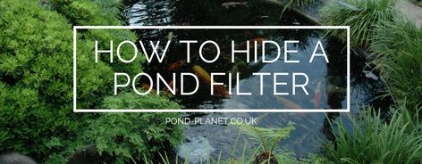 Learn how to effectively and discreetly hide your pond filter to give your pond a natural look. You can even get your artificial rocks here at Pond Planet. Hiding Pond Filter, How To Hide Pond Filter And Pump, Pond Pumps And Filters, How To Disguise Yourself, Artificial Rocks, Pond Filters, Pond Pumps, A Pond, Natural Look