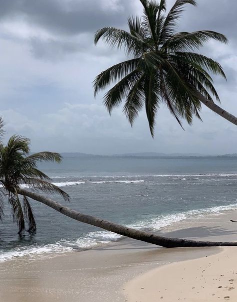 Island Aesthetic Tropical Dark, Dark Beach, Dark Paradise, Beach Aesthetic, Beach Vibe, Island Life, Blue Aesthetic, Aesthetic Photo, Instagram Aesthetic