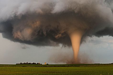 Real Tornado Pictures, Tornado Photography, Tornado Pictures, Supercell Thunderstorm, Storm Pictures, Tornado Damage, Tornado Alley, Storm Chasing, Tornado Warning