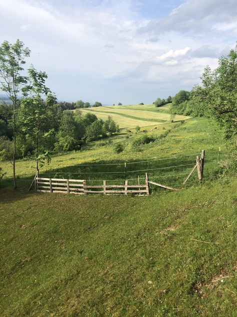 Small Farm Aesthetic, Fence Countryside, Afton Williamson, Germany Countryside, Romanticism Landscape, German Countryside, Germany Landscape, Farm Land, Living Off The Land