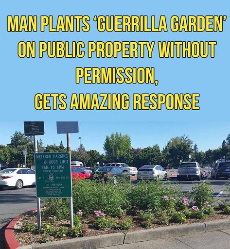 A man decided to plant a garden on public city property just to �make it look nice� and how the city responded is simply wonderful. Off Grid Garden, Lupine Lady, Punk Academia, Homesteading Garden, Live Off Grid, Guerrilla Gardening, Off Grid Survival, Intentional Community, Dark Punk