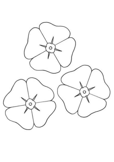 Poppy Flowers Coloring Pages - Printable Beautiful Poppy Coloring Pages Poppy Template, Remembrance Day Activities, Poppy Coloring Page, Sweet Pea Flowers, Poppy Color, Free Coloring Sheets, Halloween Math, Math Coloring, Remembrance Day