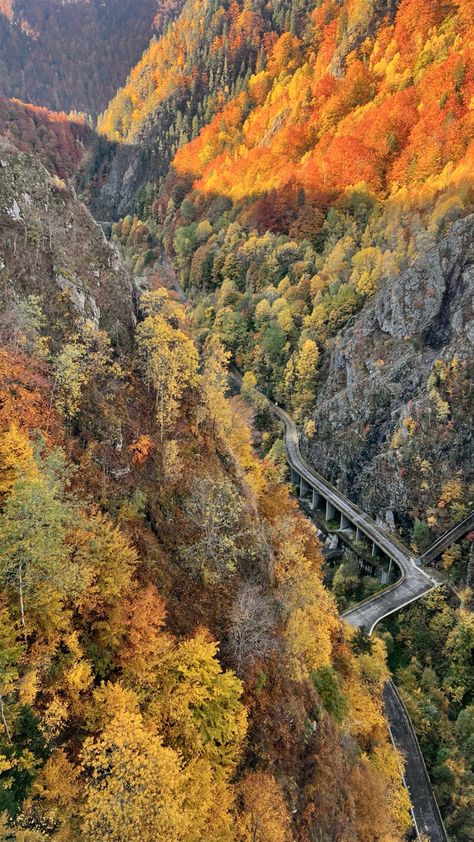 #mountains #autumn #romania #nature Romania Nature, Romania Mountains, Content Creator, Romania, Nature Photography, Digital Marketing, The Creator, Marketing, Instagram Photos