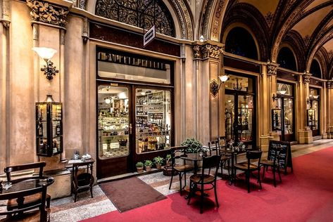 A traditional coffee house in vienna are filled with nostalgia Vienna Cafe, Small Restaurant Design, Architecture Restaurant, Austrian Recipes, Black Christmas Trees, W Hotel, Sigmund Freud, Aesthetic Coffee, Most Beautiful Cities