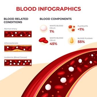 System Infographic, Water Infographic, Hdl Ldl, Blood Components, Study Medicine, I Love Science, Nurse Study, Blood Plasma, Nurse Study Notes